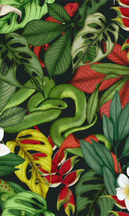 ♥ New Collections ♥